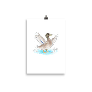 Enten Poster – Stockente Duffy planscht, Kunstdruck auf mattem Papier