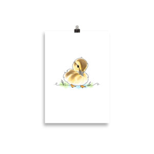 Enten Poster – Stockente Duffy putzt sich, Kunstdruck auf mattem Papier