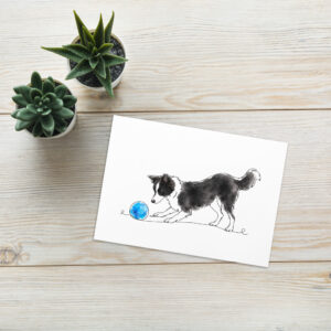Hundekarte & Geburtstagskarte Border Collie Jule mit Ball – Klappkarte mit Umschlag und Geschichte