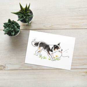 Hundekarte & Geburtstagskarte Border Collie Luna mit Pusteblume – Klappkarte mit Umschlag und Geschichte