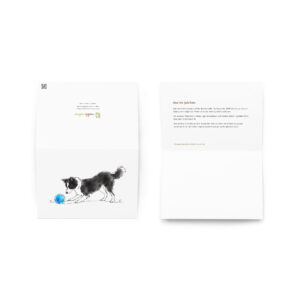 Hundekarte & Geburtstagskarte Border Collie Julchen mit Ball – Klappkarte mit Umschlag und Geschichte