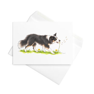Hundekarte & Geburtstagskarte Border Collie Luna mit Pusteblume – Klappkarte mit Umschlag und Geschichte