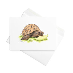 Schildkröten Karte Susi und die Honigmelone – Klappkarte mit Umschlag und Geschichte